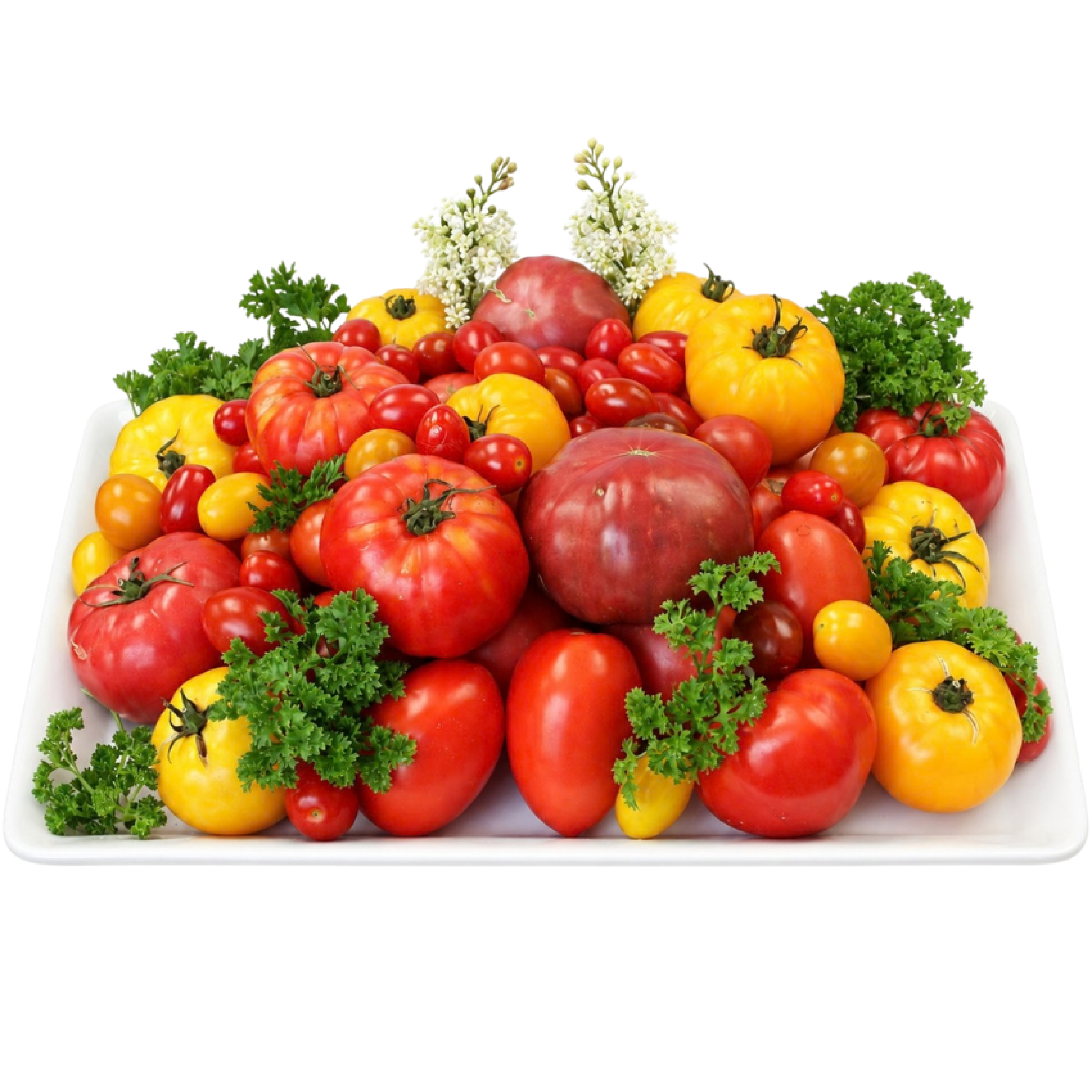 Fresh Produce. Dependable Service. Built on Relationships.