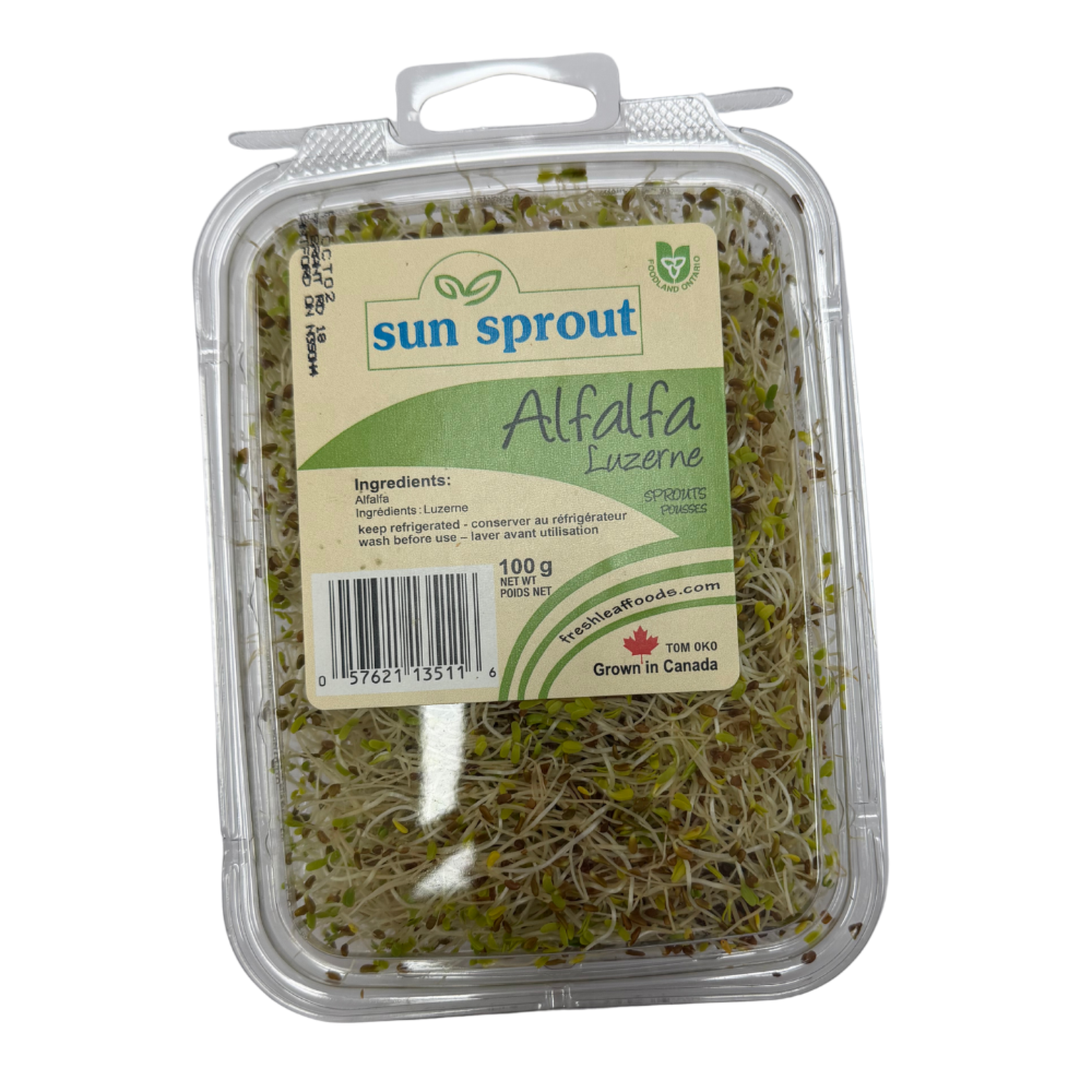 Alfalfa Sprout