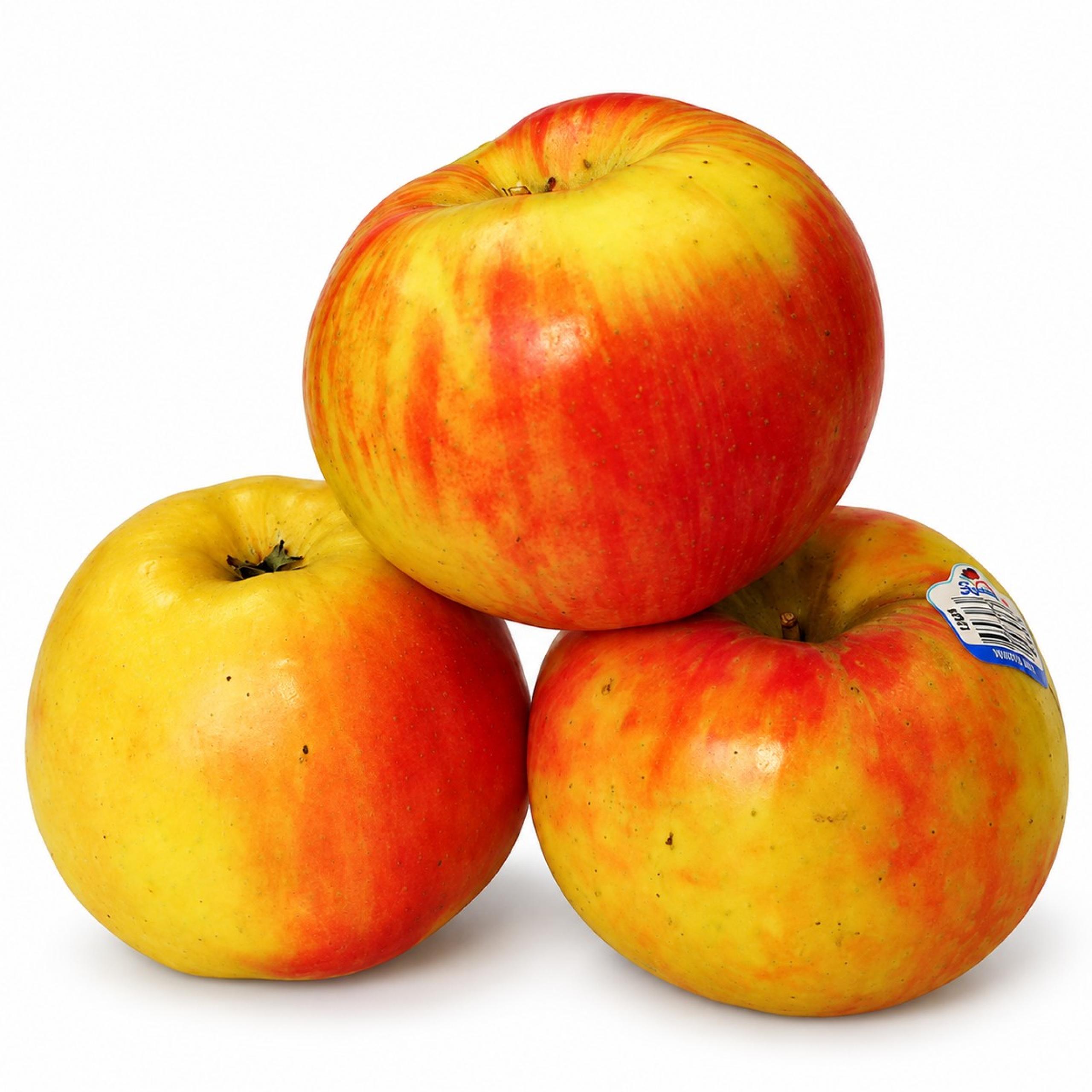 Apples - Honey Crisp