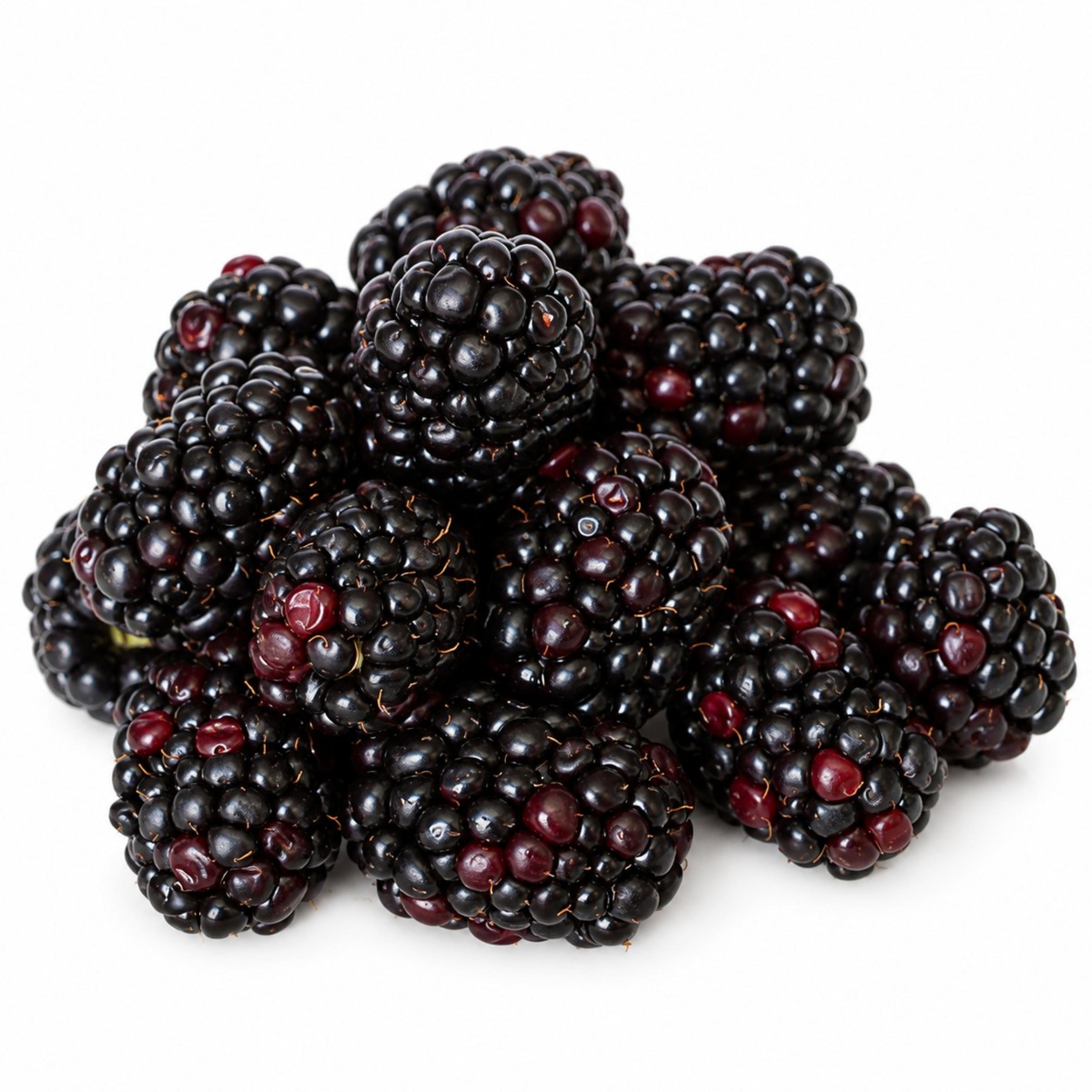 Berries - Blackberries