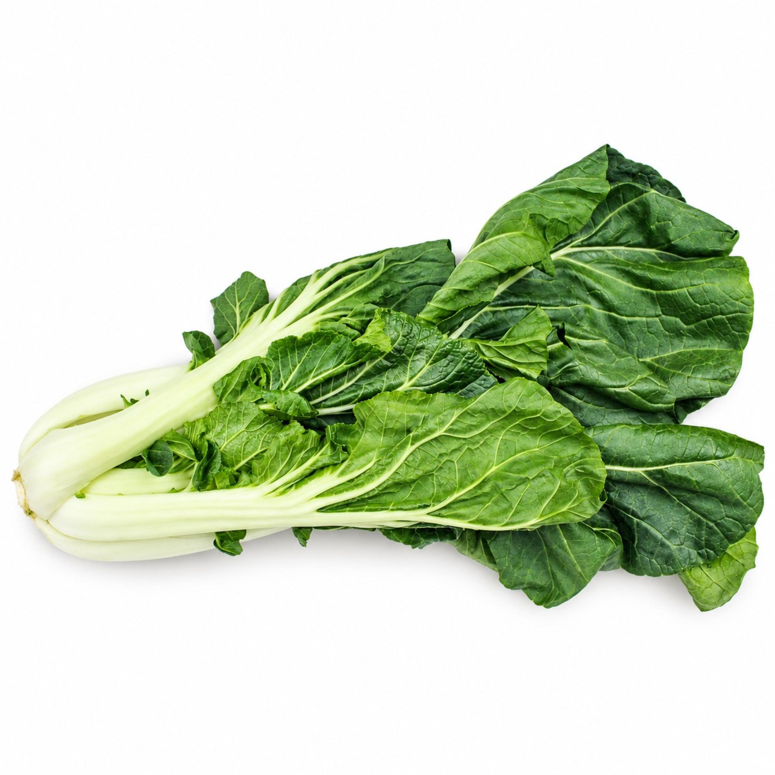 Bok Choy