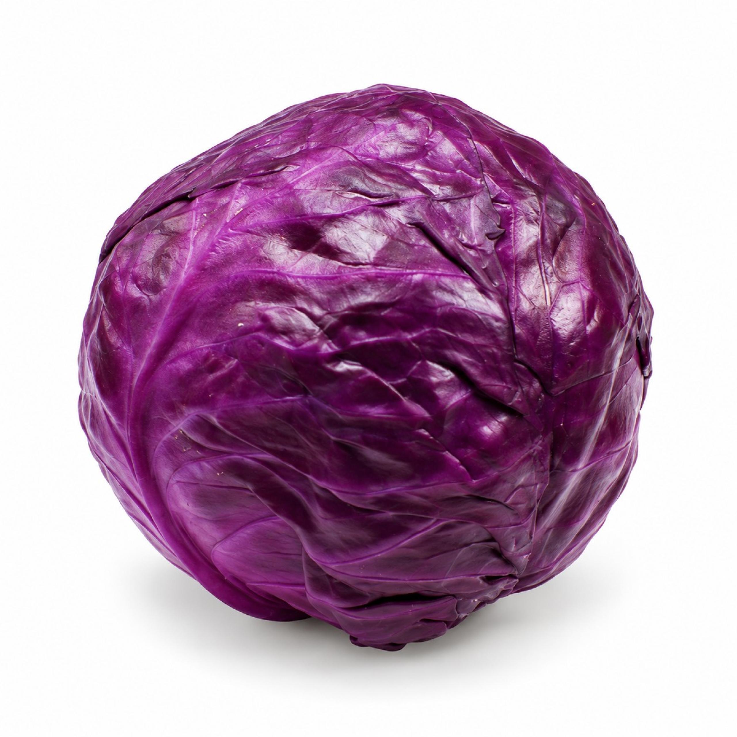 Cabbage - Red