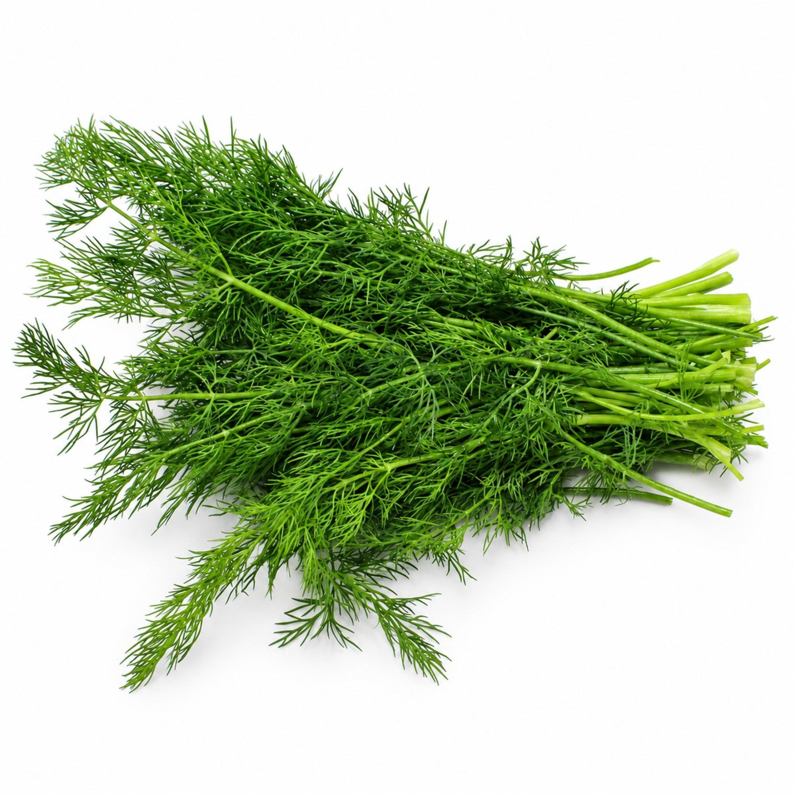 Dill
