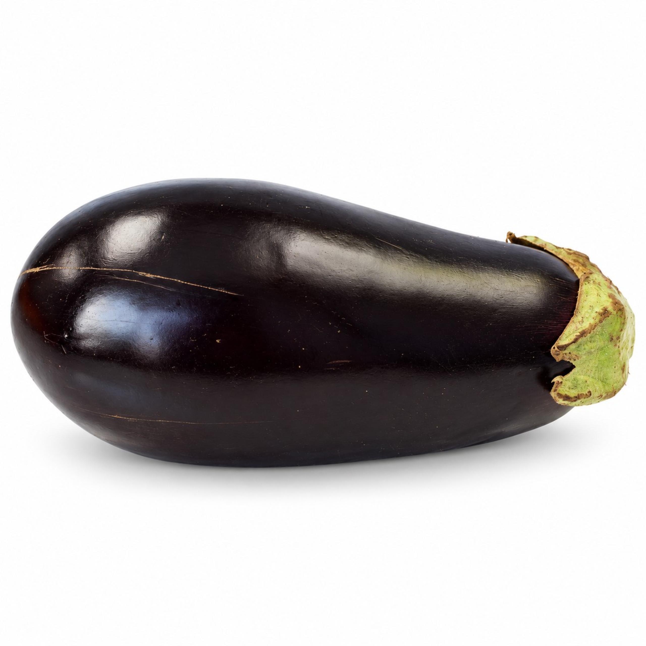 Eggplant - Globe
