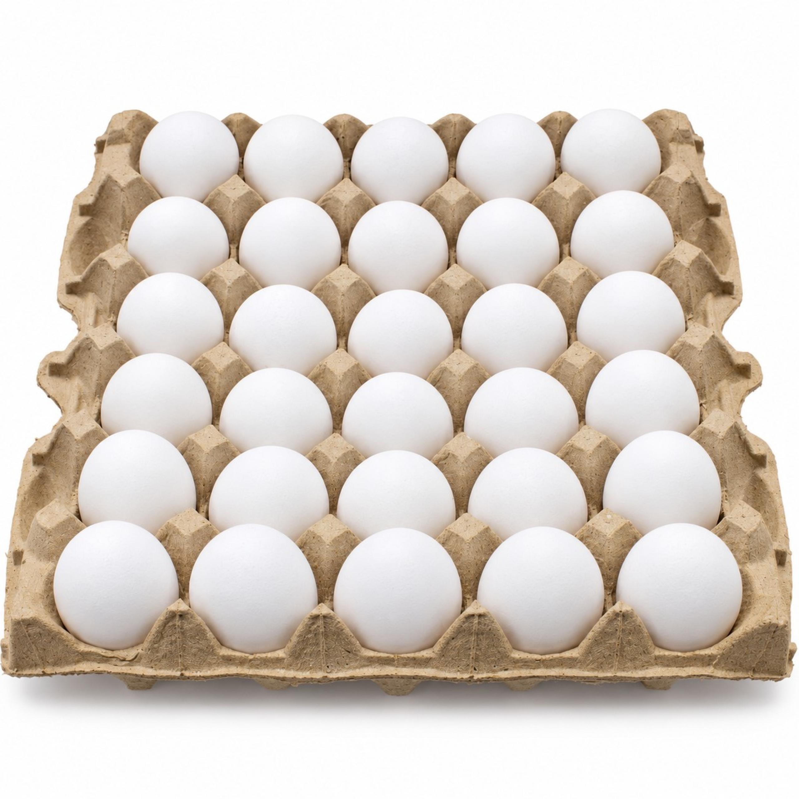 Eggs - Large/Medium