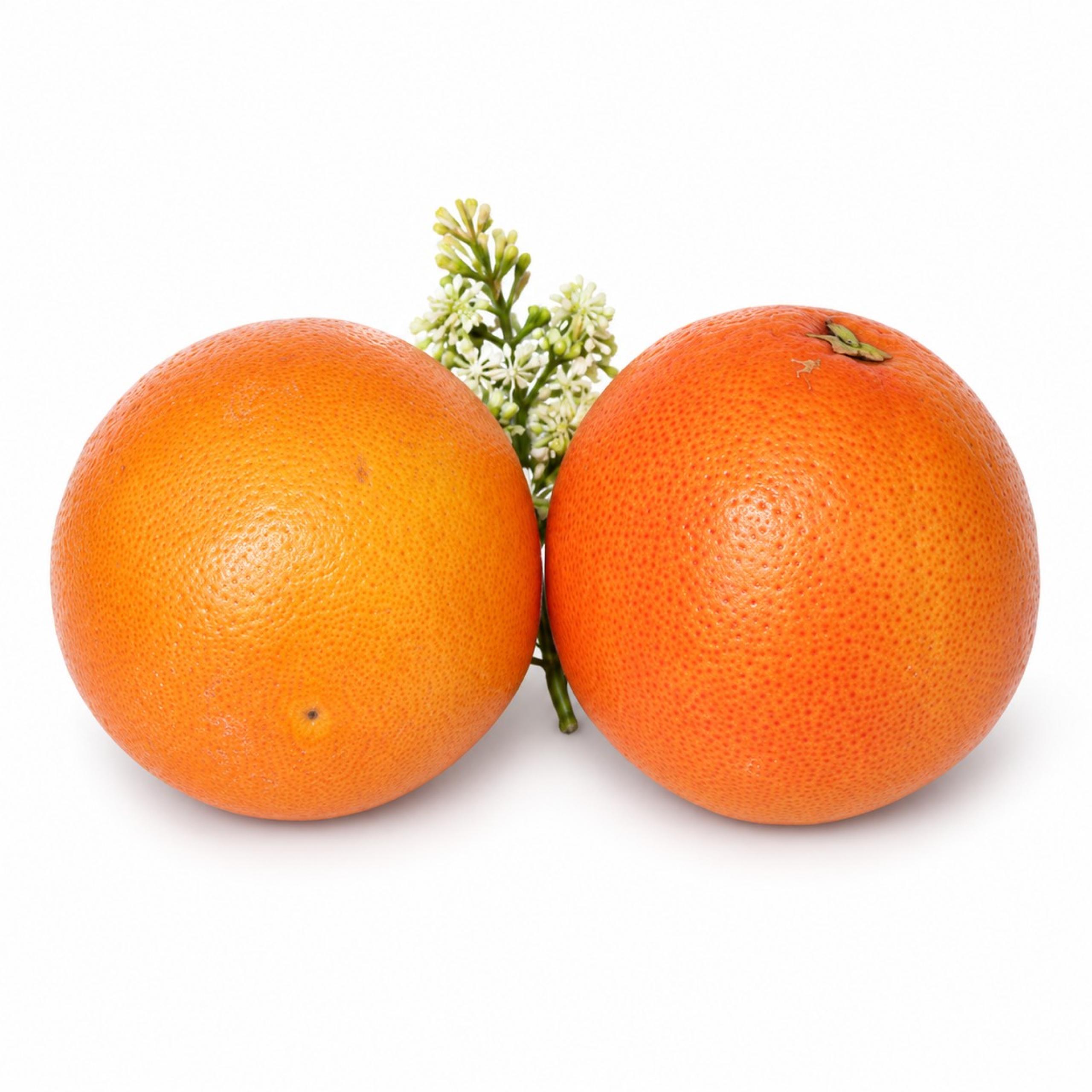 Grapefruits