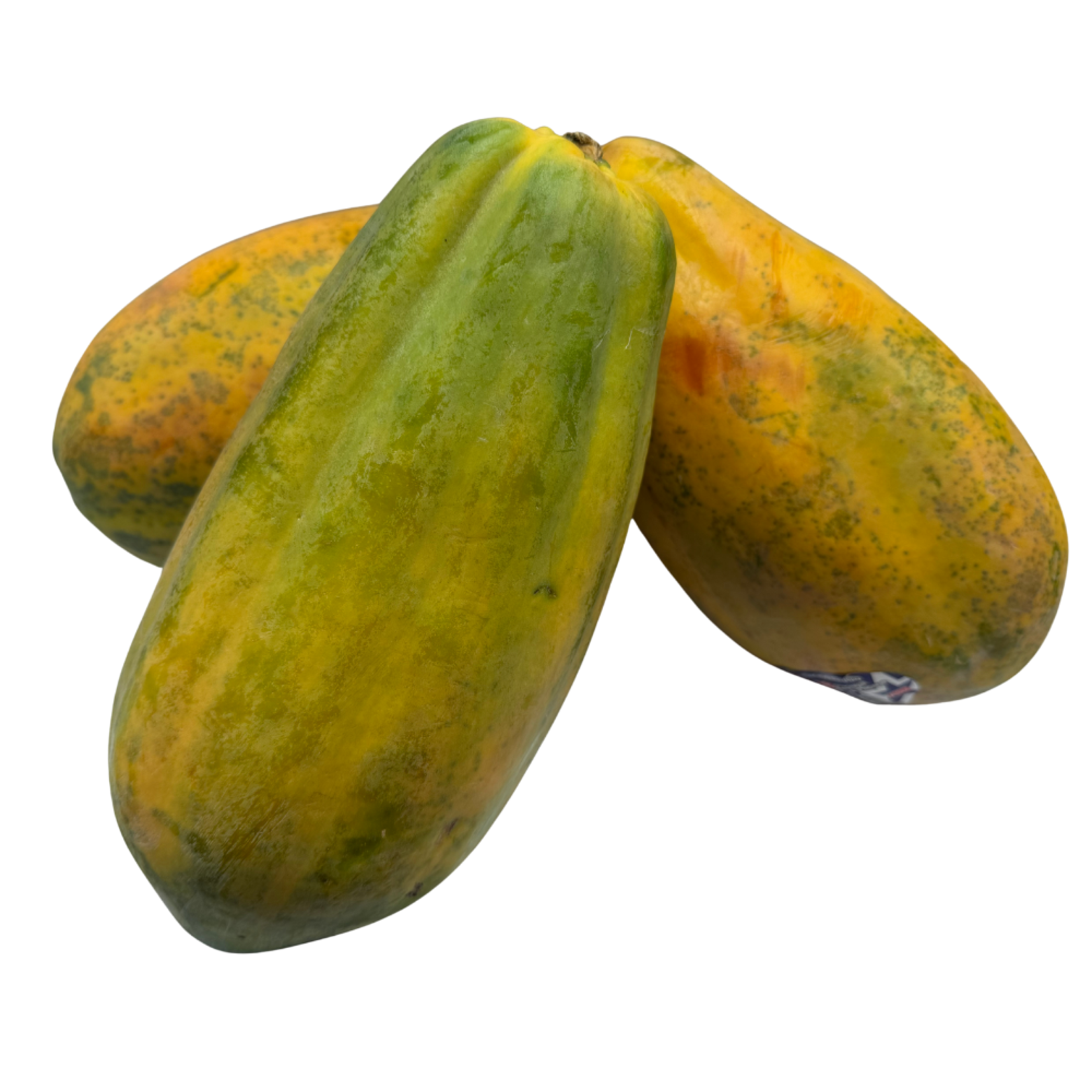Jumbo Papaya