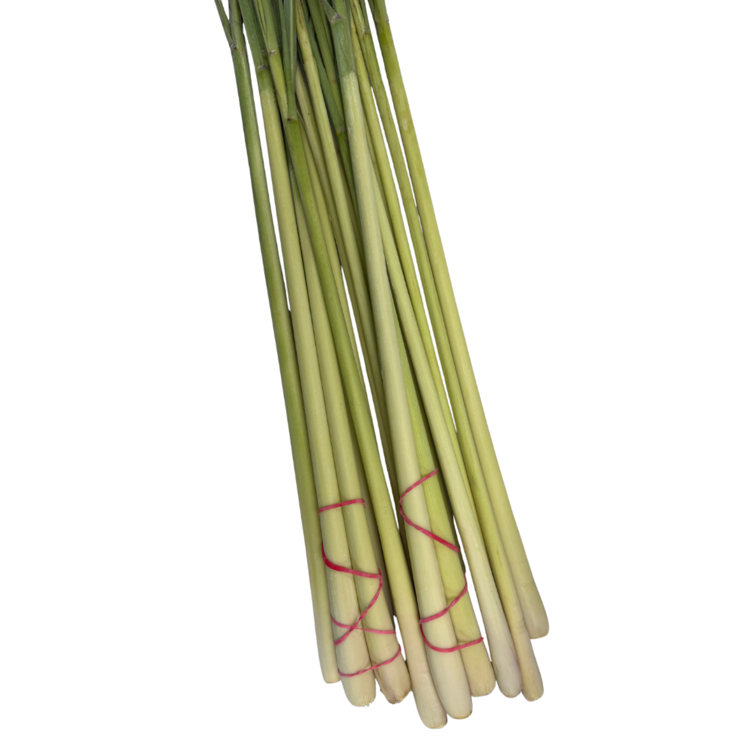 Lemon Grass