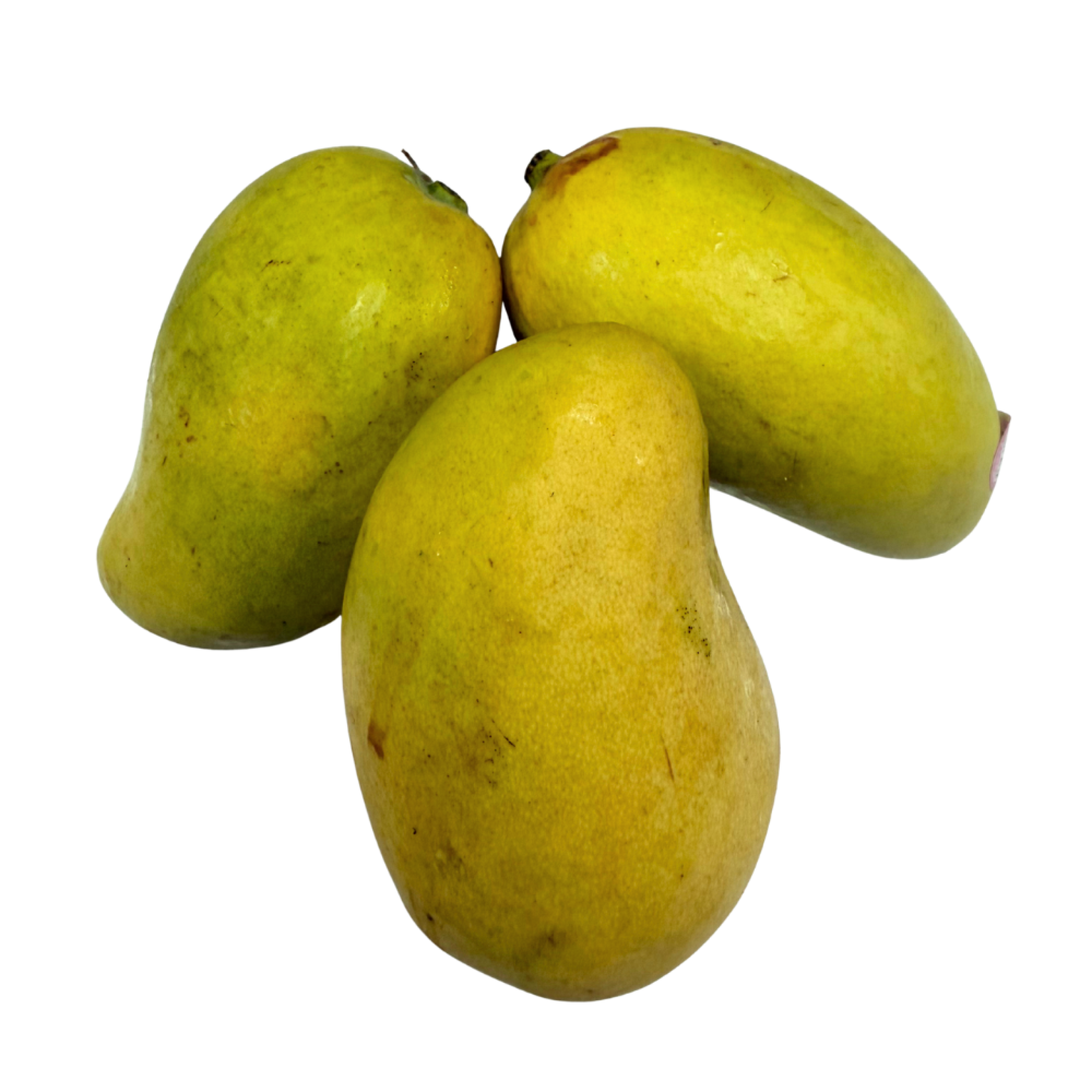 Mango - Yellow