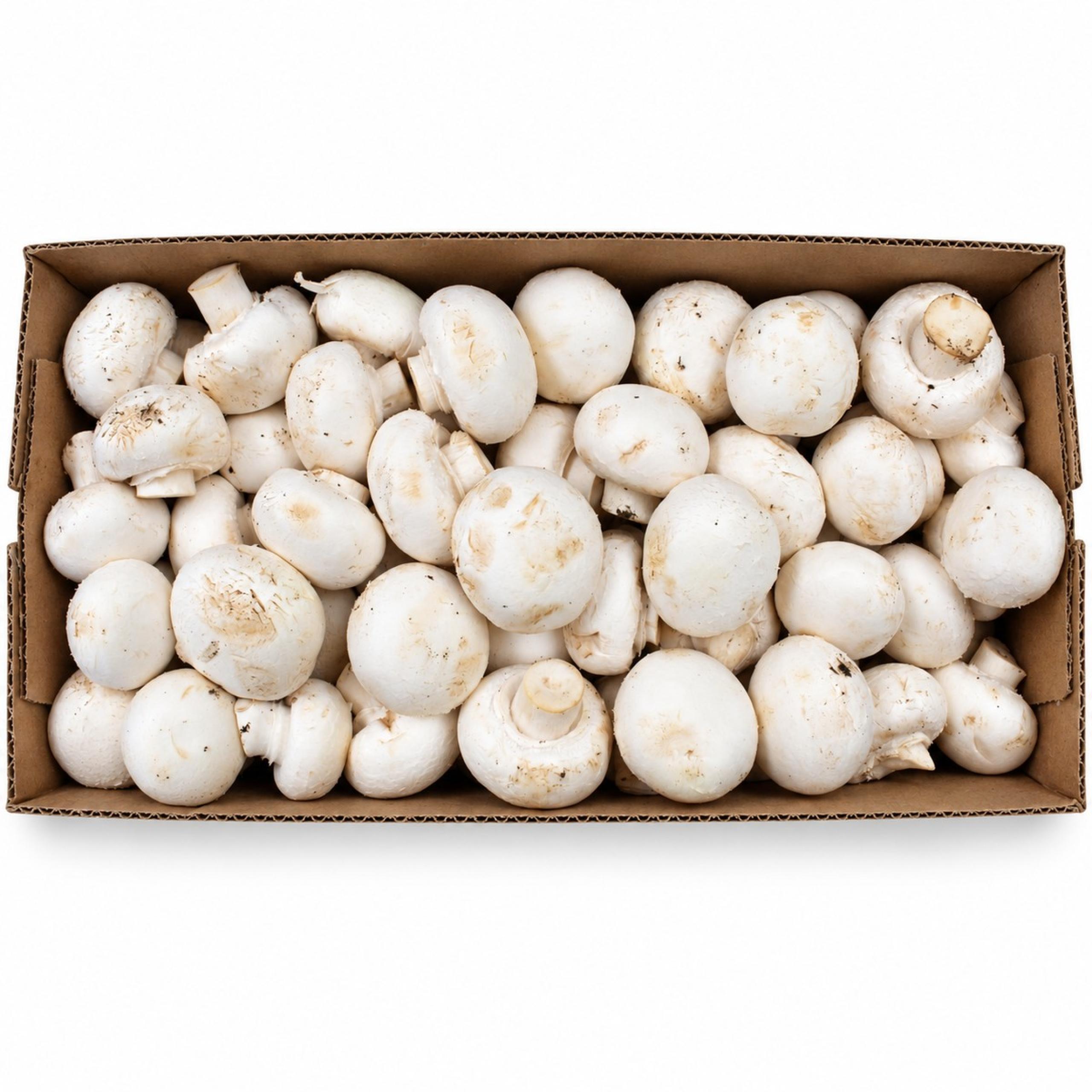 Mushrooms - White