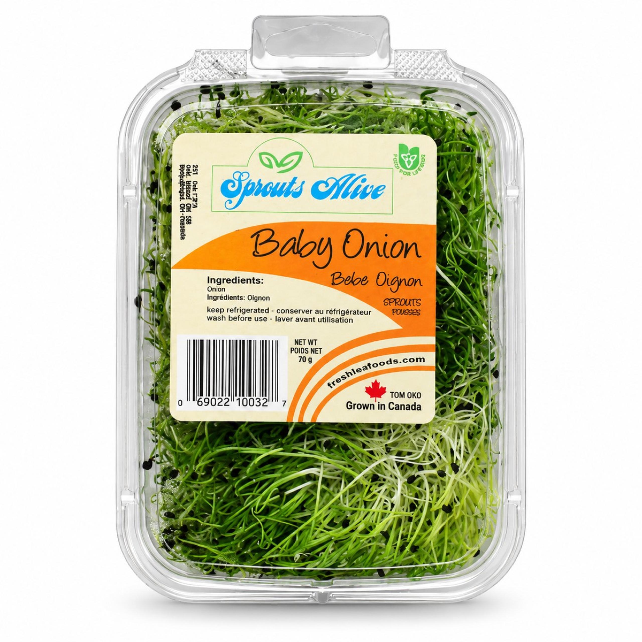 Onion Sprout