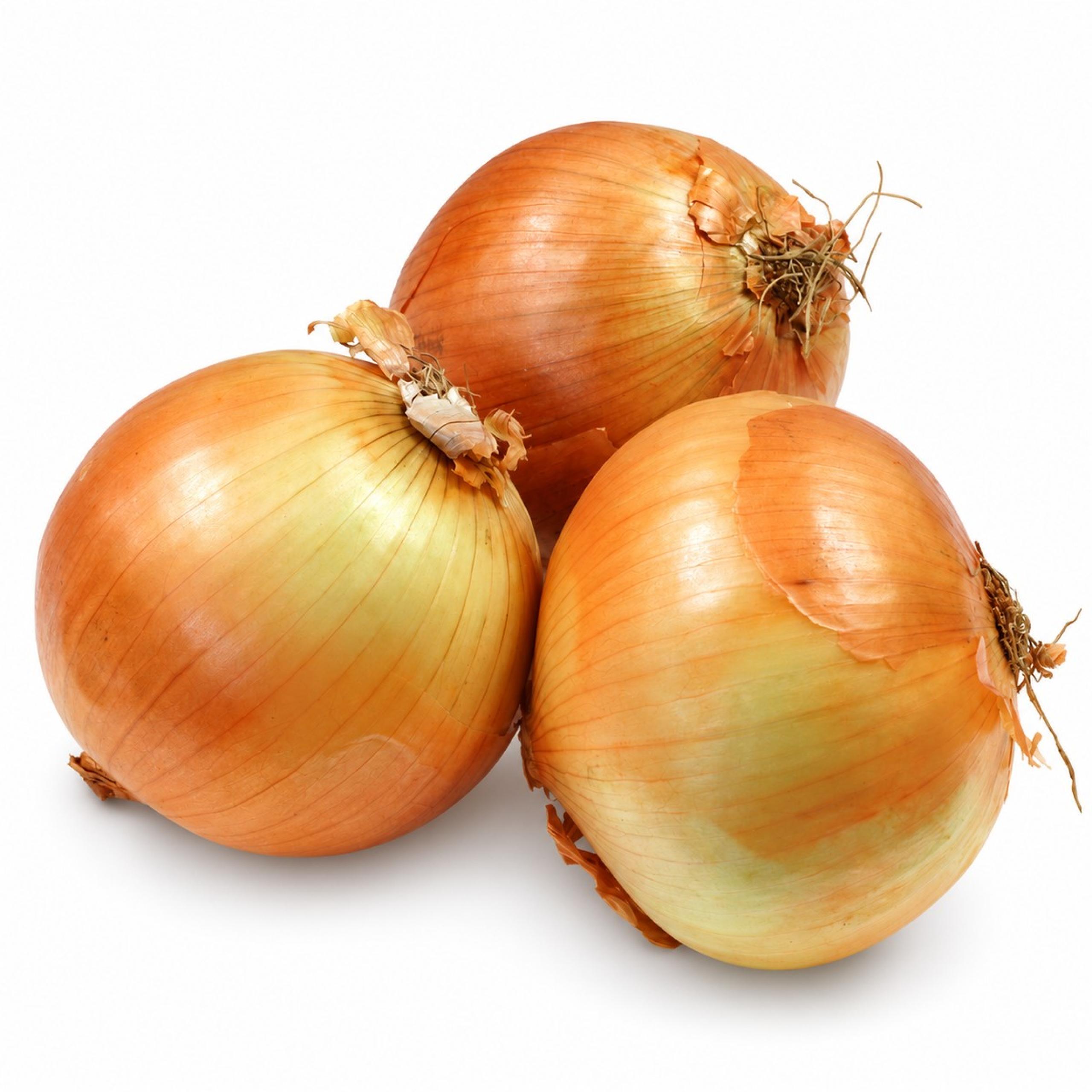 Onions - Spanish
