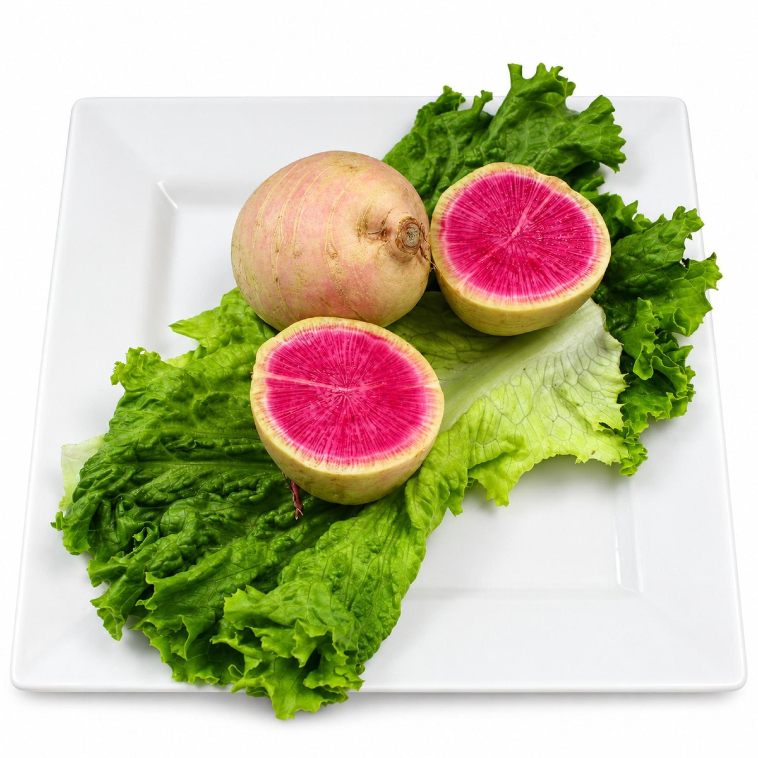 Radish - Watermelon