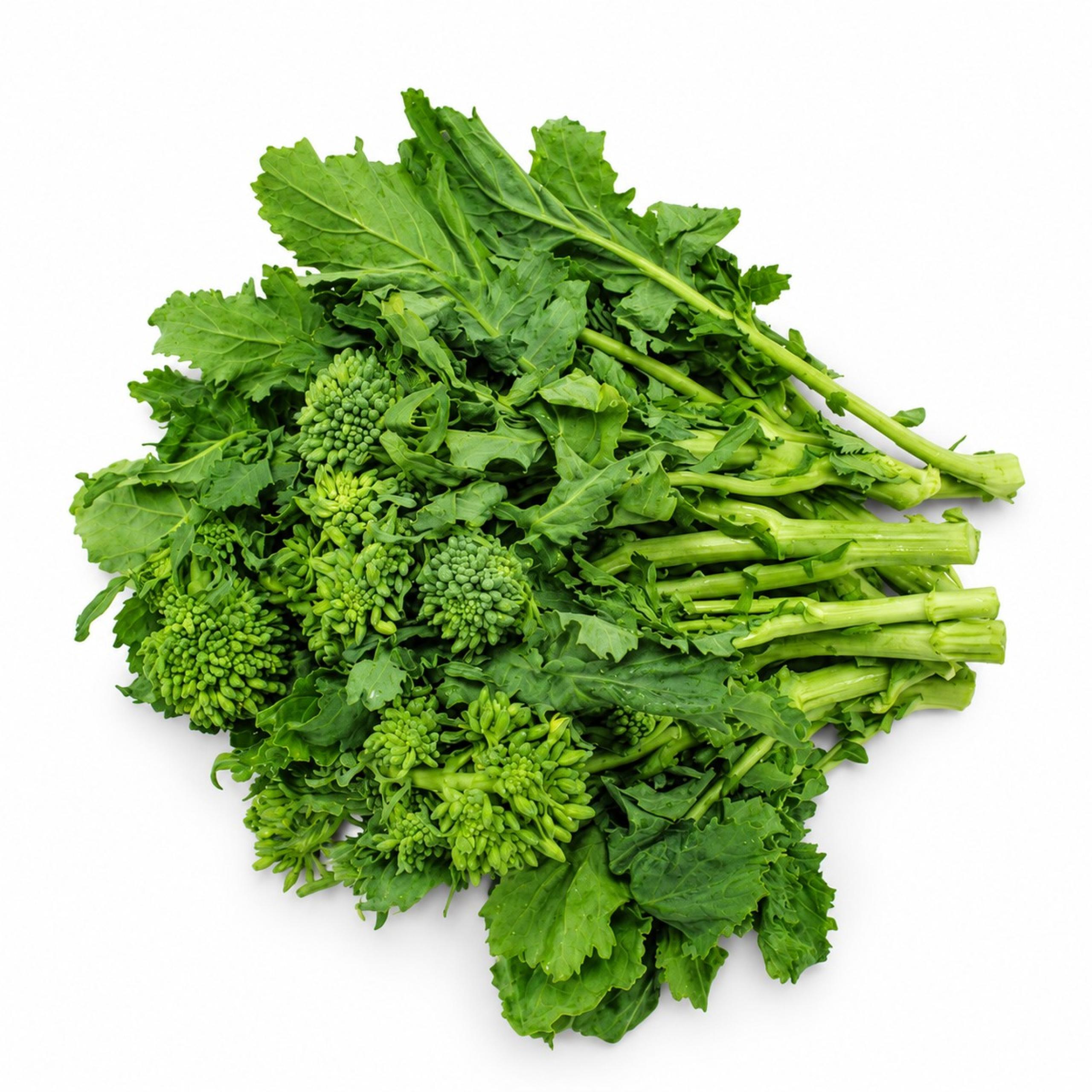 Rapini