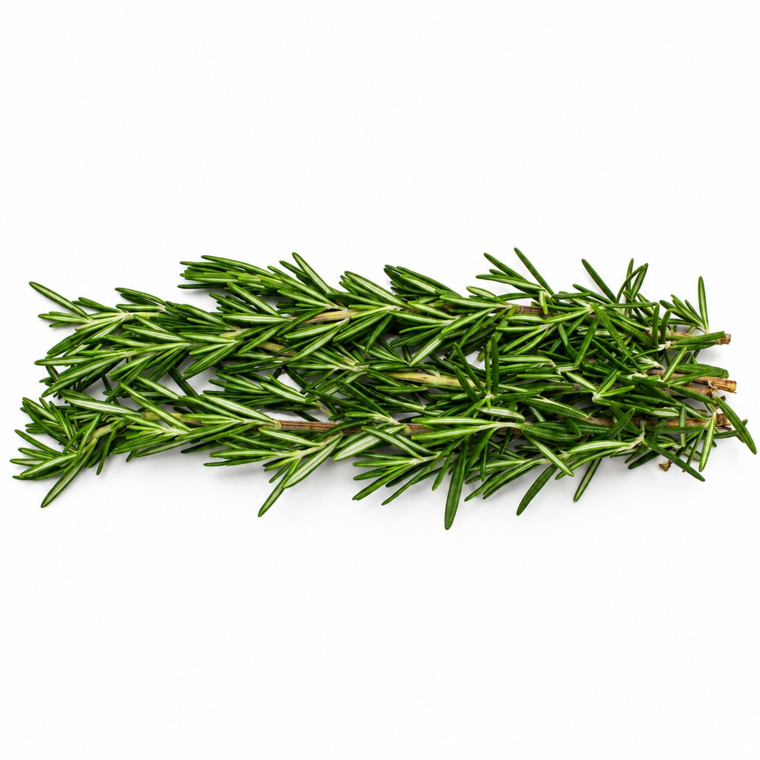 Rosemary