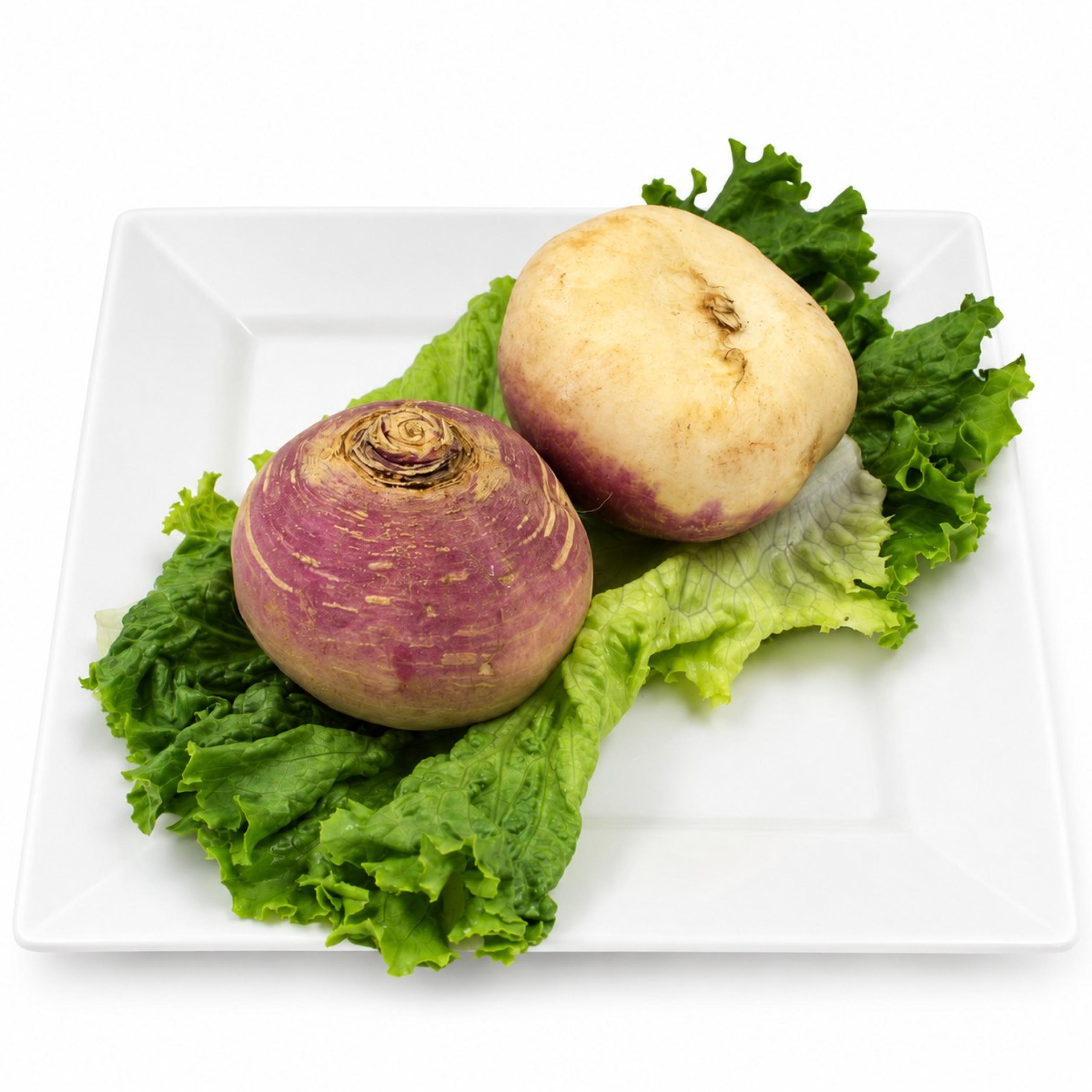 Turnip - White