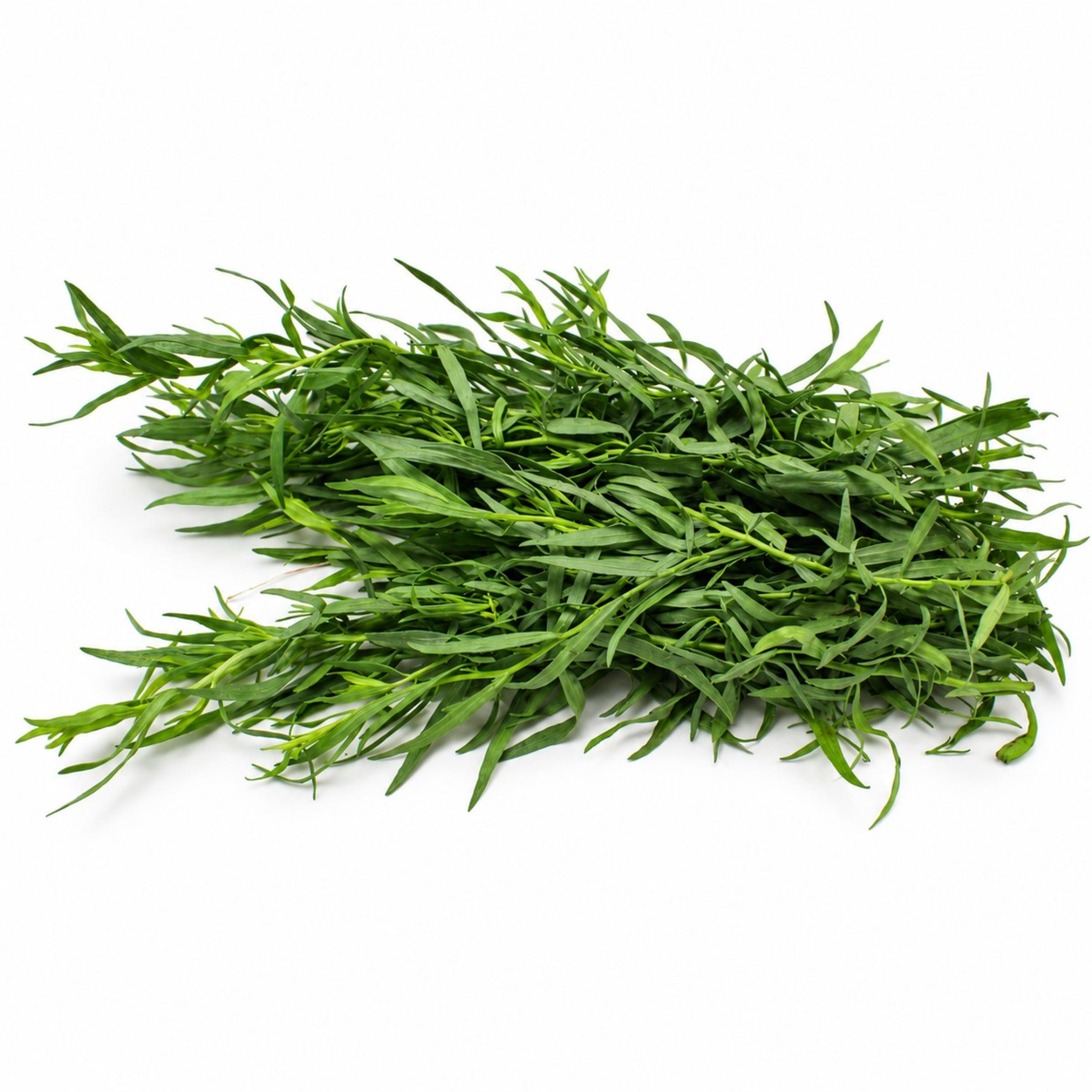 Tarragon