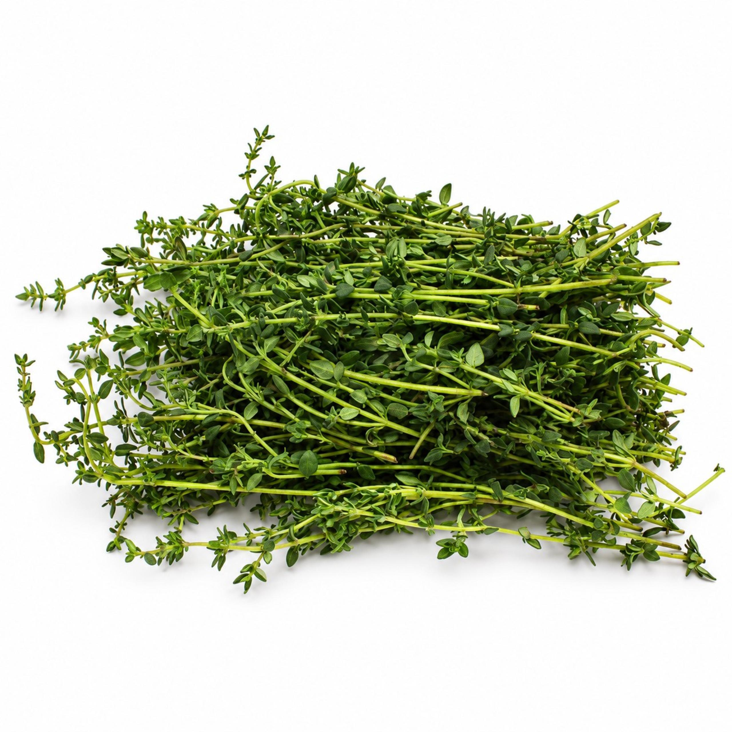 Thyme