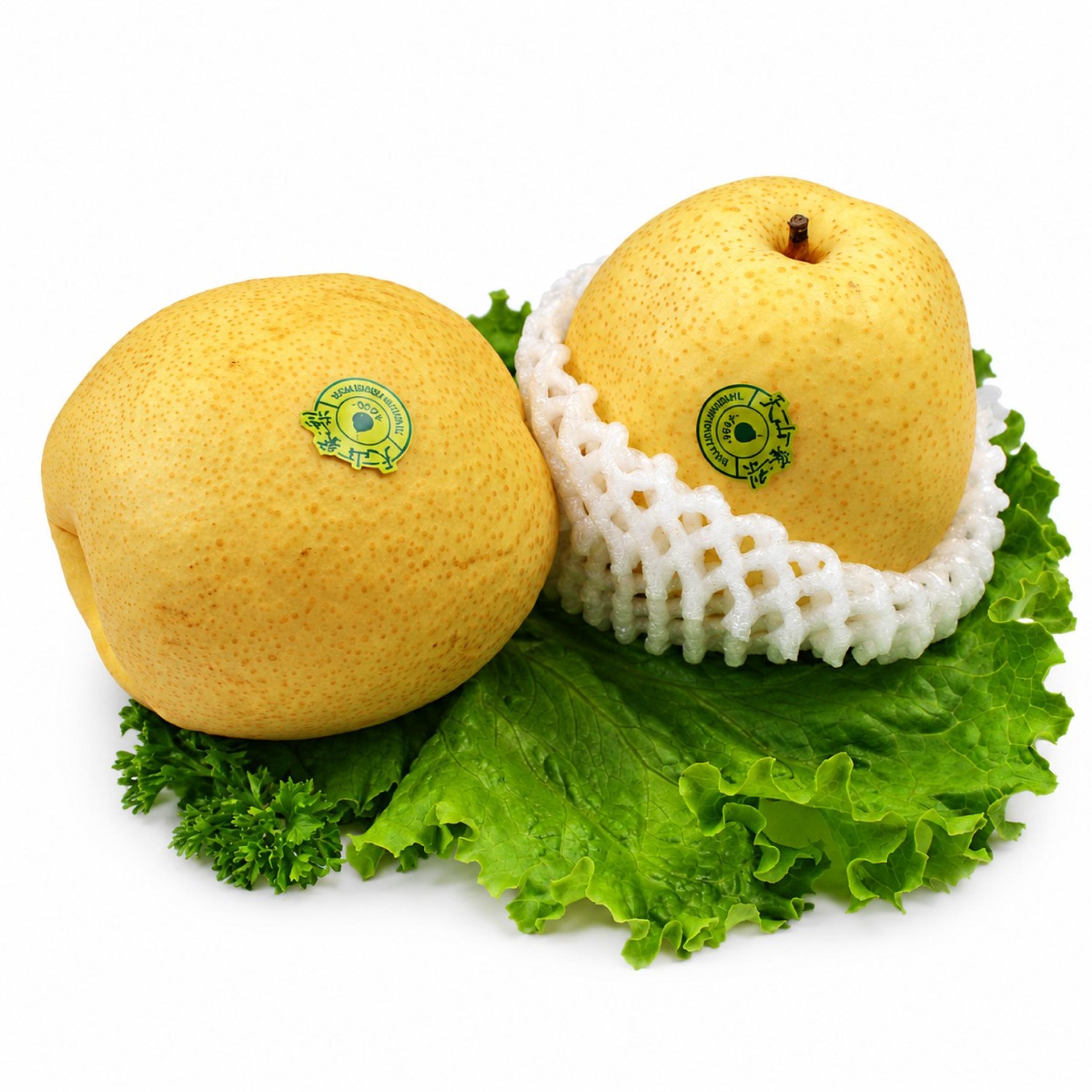 Pears - Asian Pear (White)