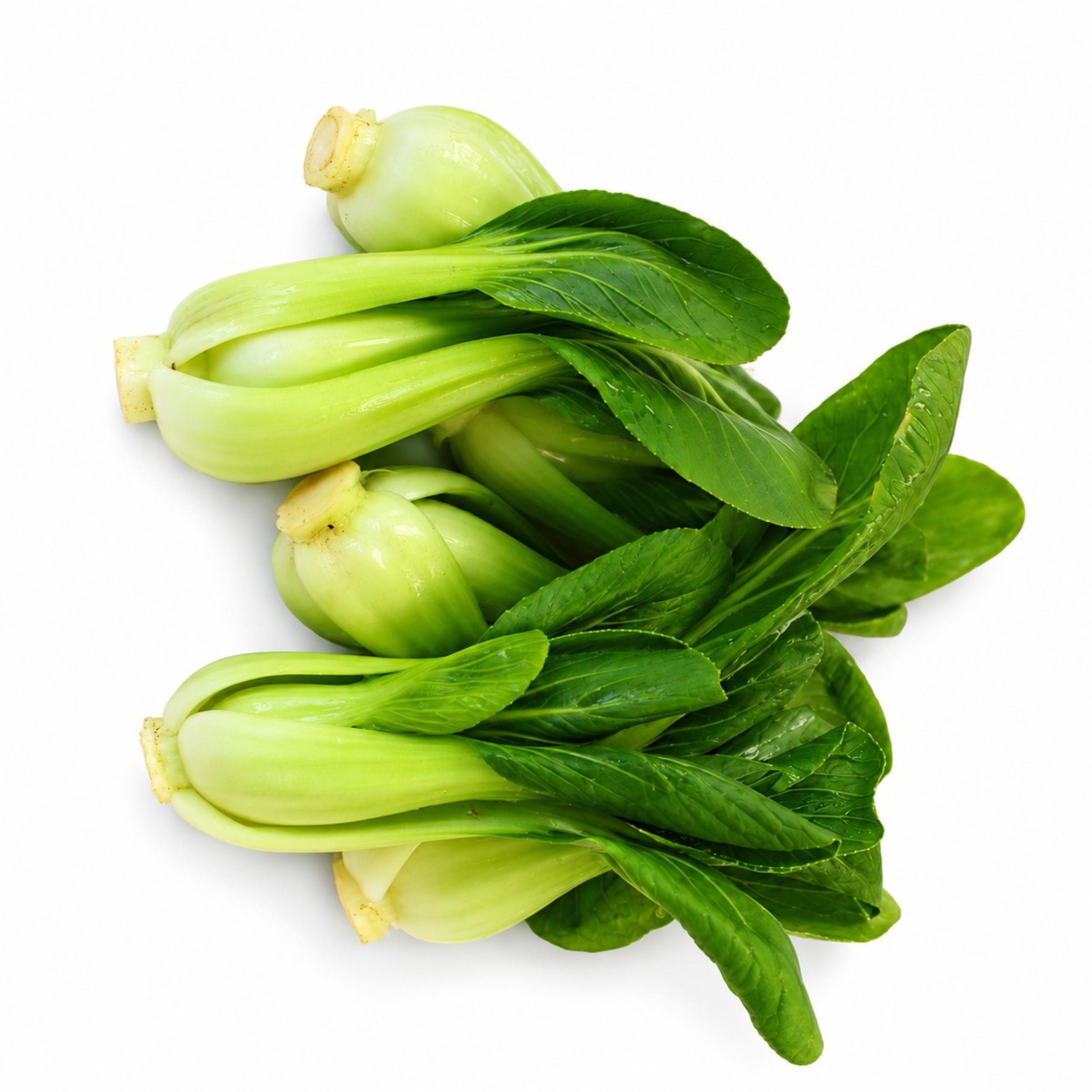 Bok Choy - Baby
