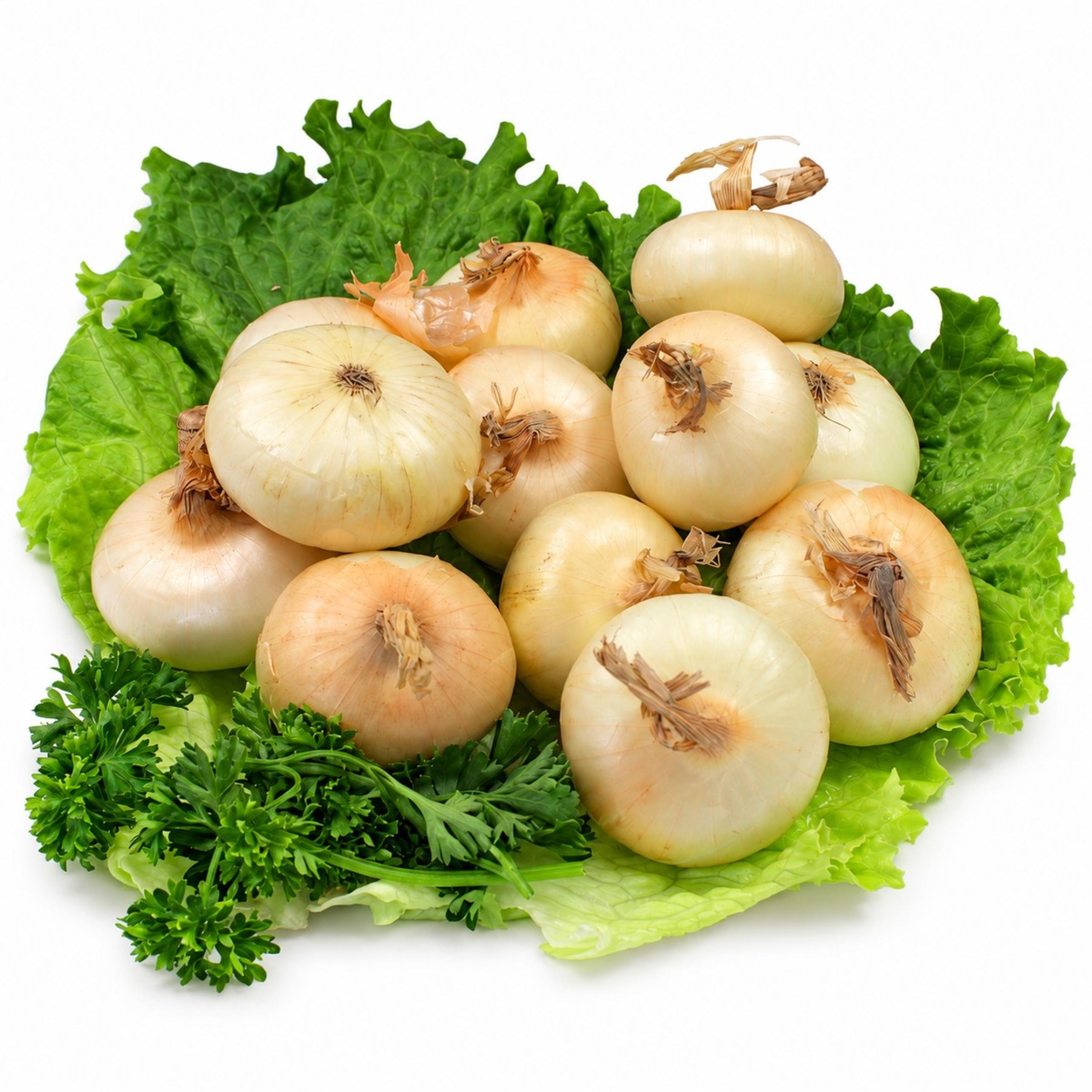 Onions - Cipollini