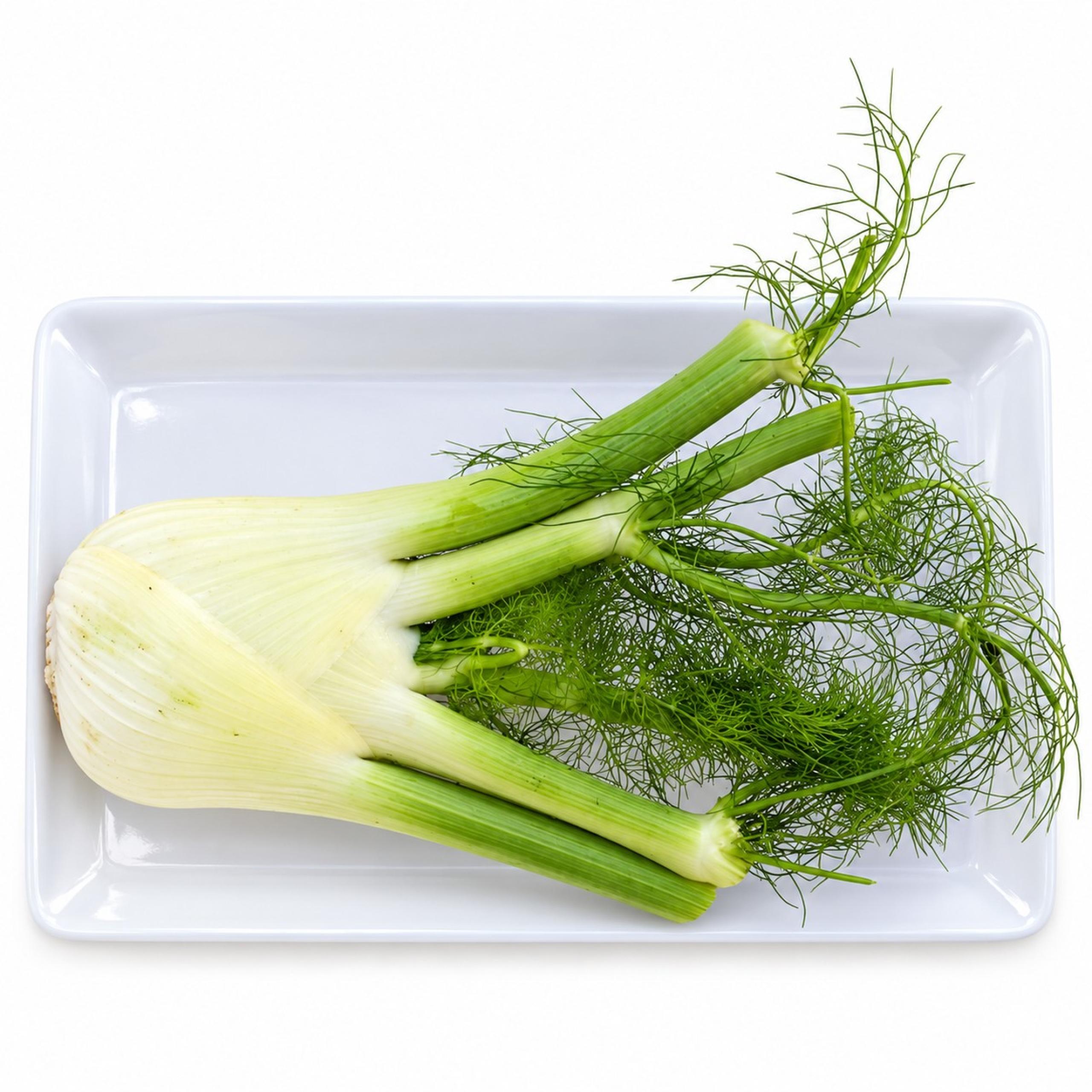 Fennel
