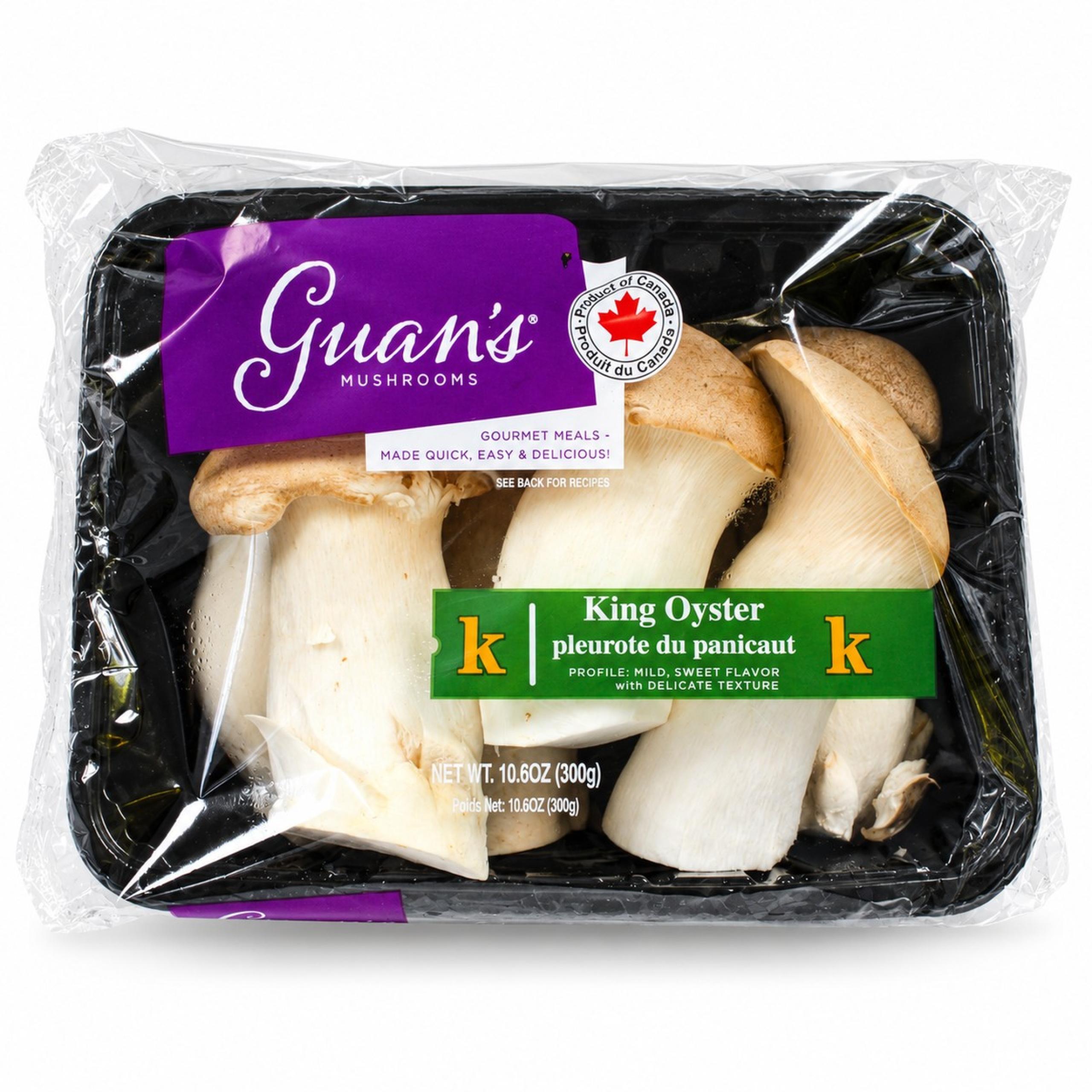 Mushroom - King Oyster