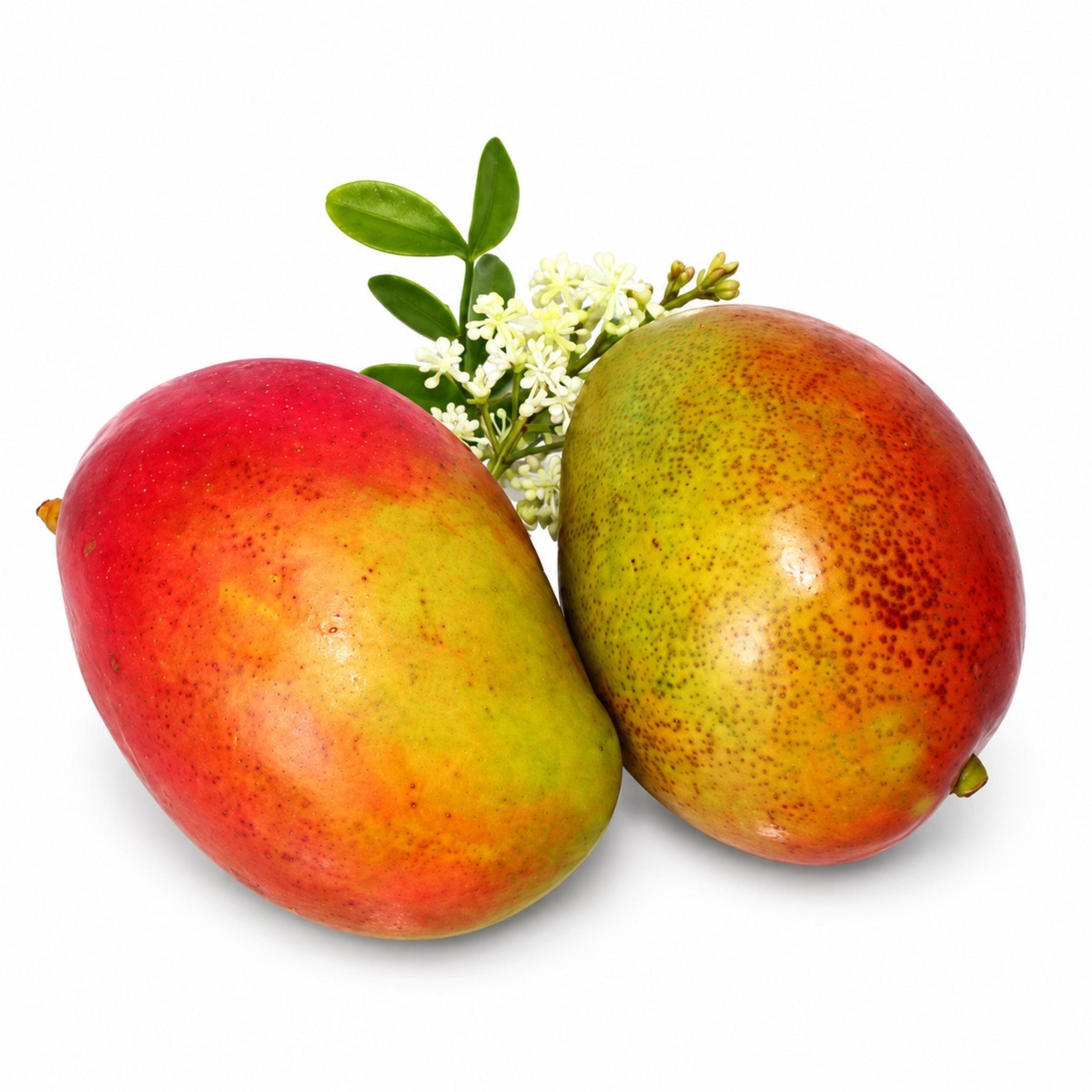 Mango - Red