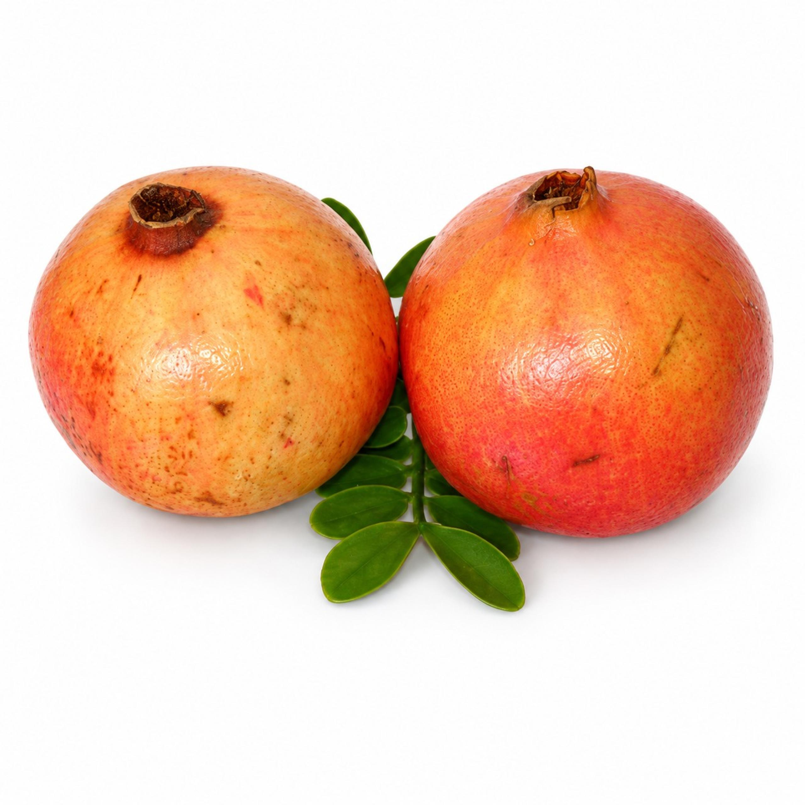 Pomegranate