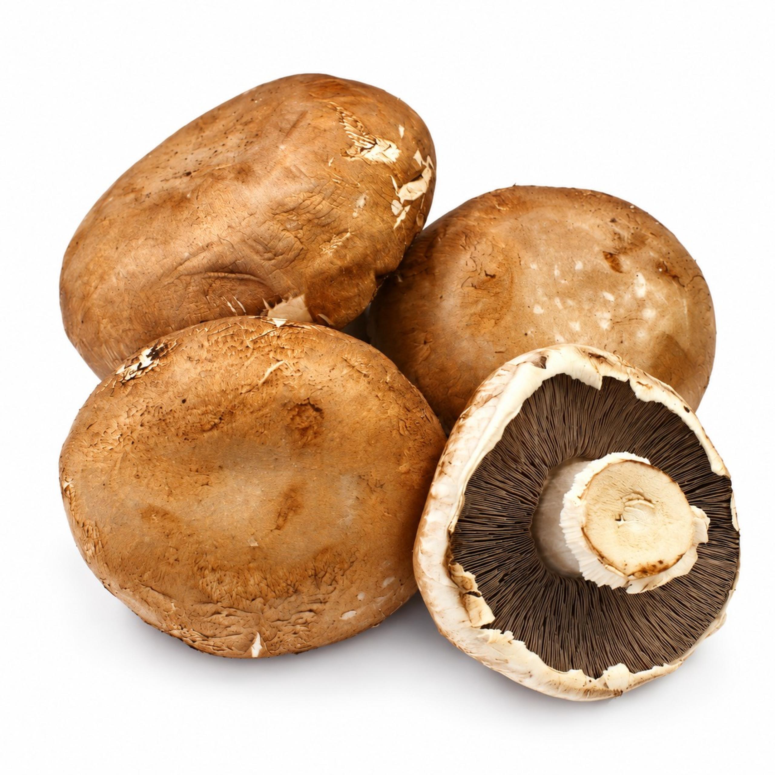 Mushroom - Portobello
