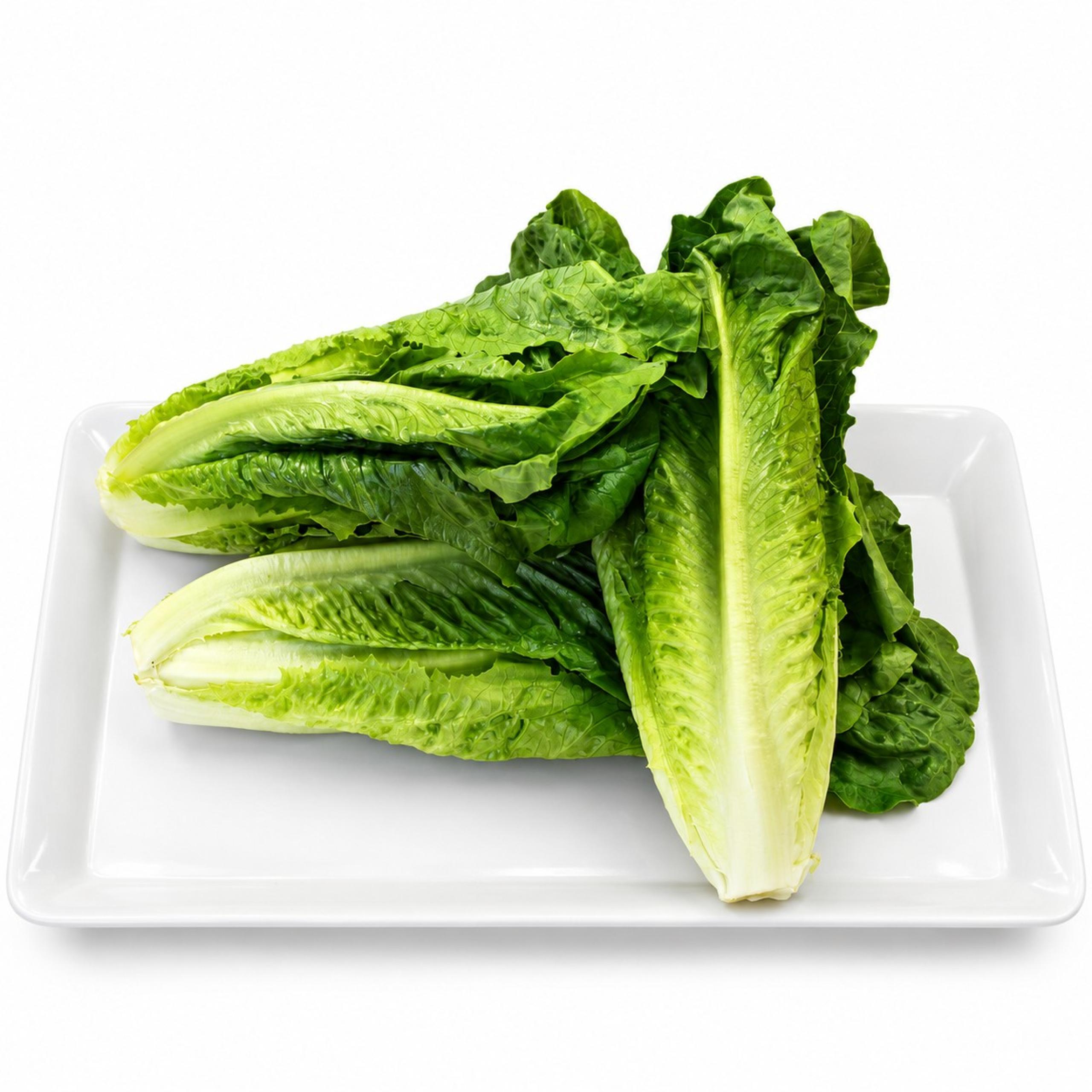 Lettuce - Romaine Heart