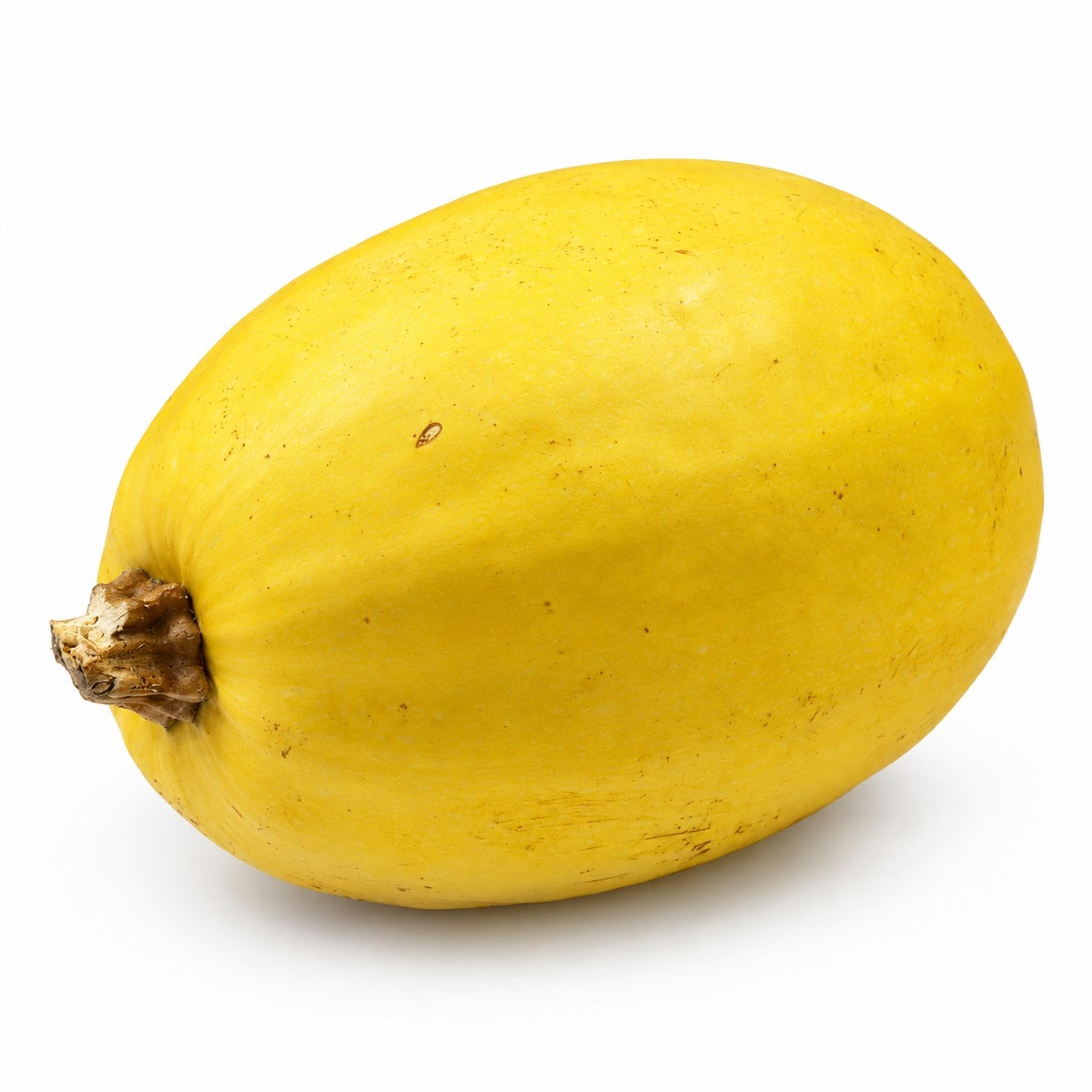 Squash - Spaghetti