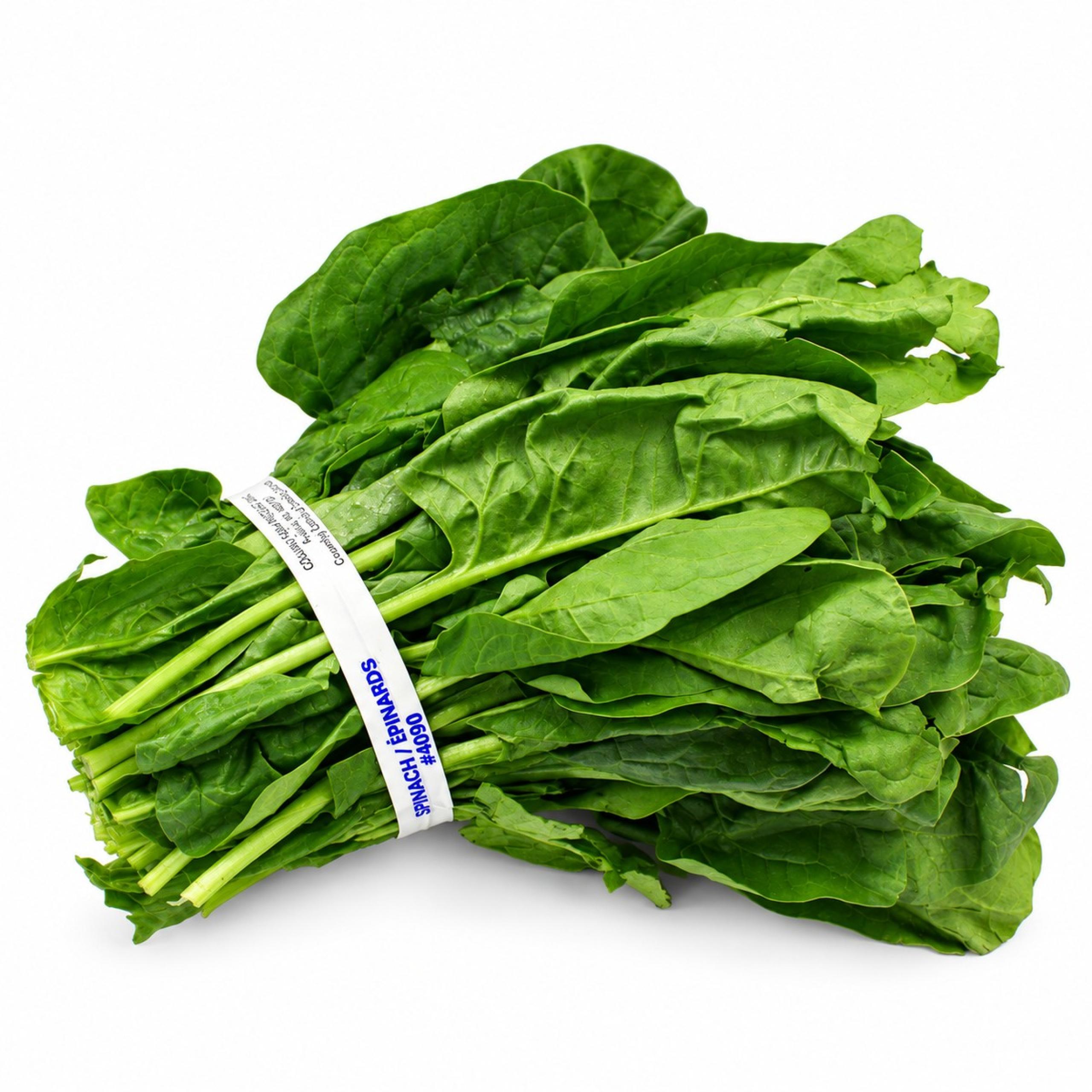 Lettuce - Spinach Baby